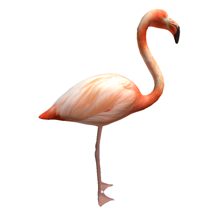Flamingo On Head - Roblox