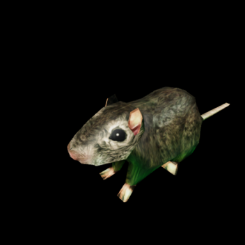 Rat Spin