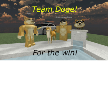 Team Doge Hangout