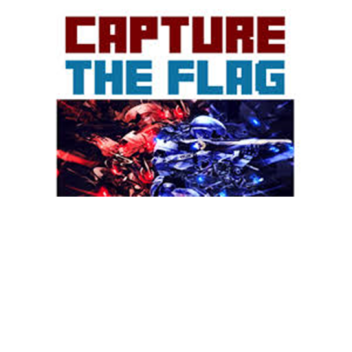 Capture the flag advanced edition
