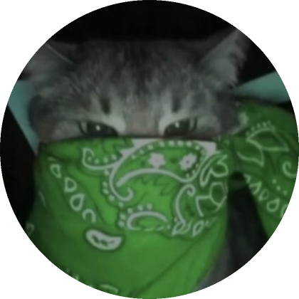 Roblox Item Green Bandana Cat PFP