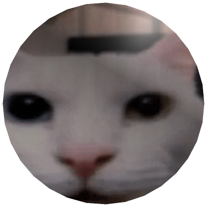 Canny Cat Kitten Meme PFP Profile Picture's Code & Price - RblxTrade