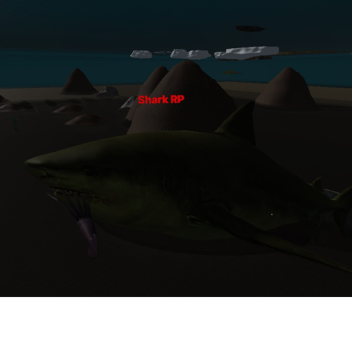 Shark rp