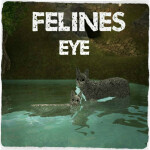 New Map! ||Felines Eyes|| Cat RP|| BETA TEST