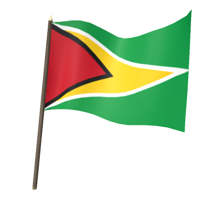Roblox Item Flag of Guyana