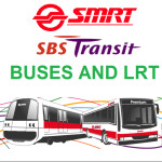 [V0.1] SMRT and SBS TRANSIT Buses (Salisbury Town)