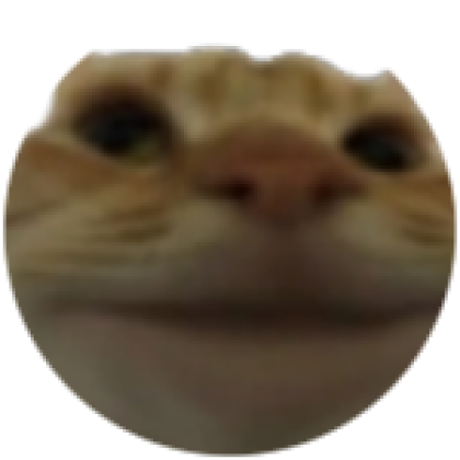 Funny cat - Roblox