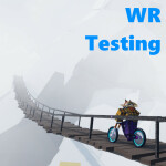 Wolf Ridge Testing Server