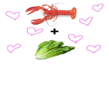 Lettuce and Lobster's Ceremony