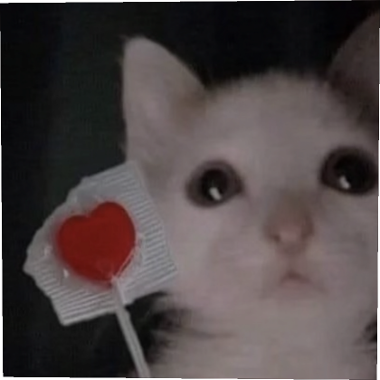 Sad Valentines Lollipop Cat PFP | Roblox Item - Rolimon's