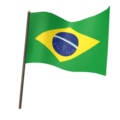 Brazil Jersey's Code & Price - RblxTrade