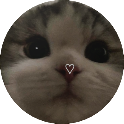 Close Up Cat PFP | Roblox Item - Rolimon's