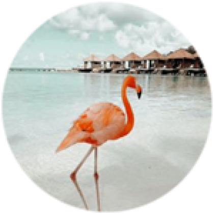 Flamingos! - Roblox