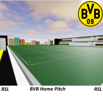 Borussia Dortmund Home Pitch