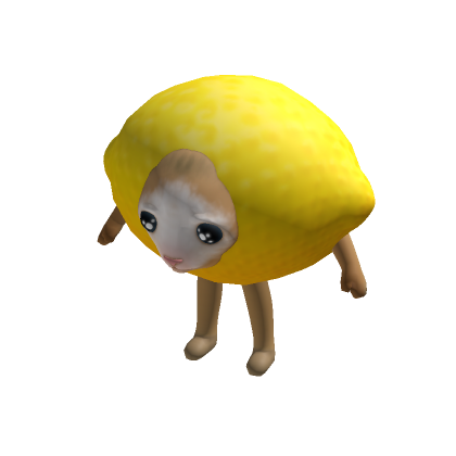 Lemon Cat Roblox Item Rolimon S