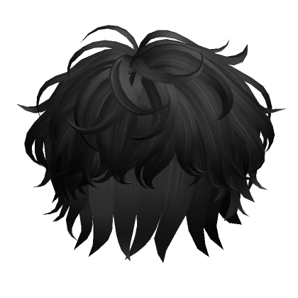 Roblox Item Messy Curly Hair(Black)