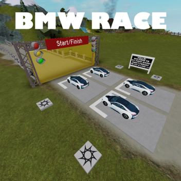 BMW Race