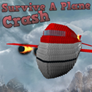 Plane Crash Survival (NEW)