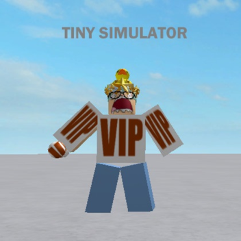 Tiny Simulator