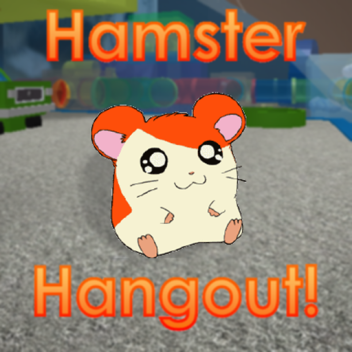 Un lieu de rencontre avec des hamsters !