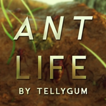 Ant Life