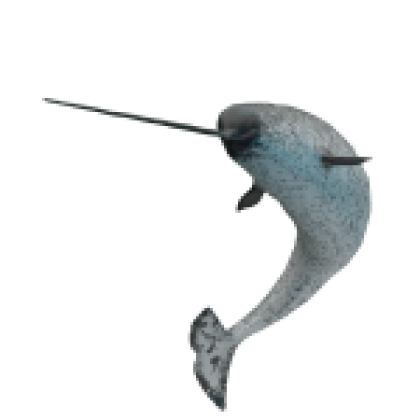 Narwhal - Roblox