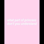 Pink Princess World