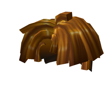 Roblox Bacon Hair