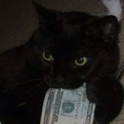 Black cat outlet money