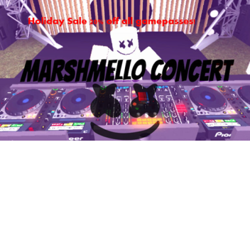 Marshmello-Konzert!