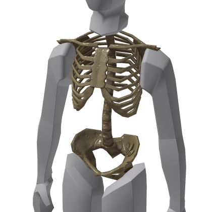 Skelly_Rig - Torso - Roblox