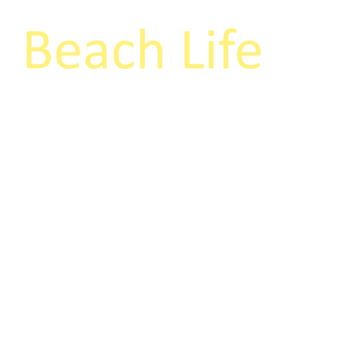 Live Life on a beach!