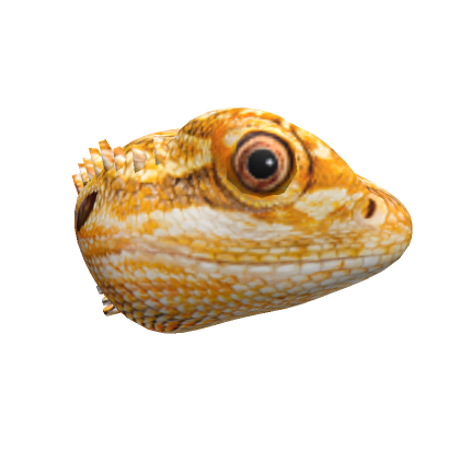 Roblox Item Bearded Dragon