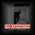 The Examination