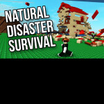  Disasters Simulation