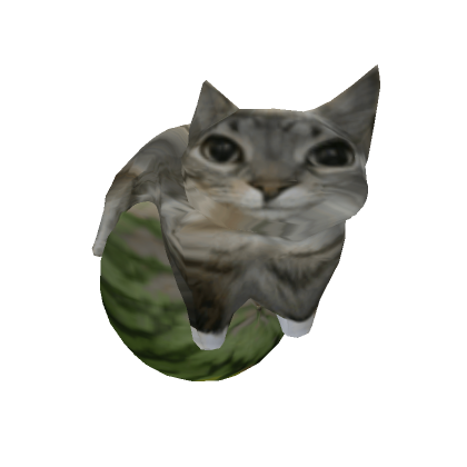 cats in watermelon