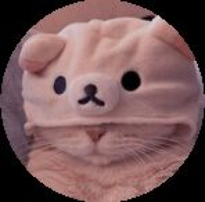 cat Roblox