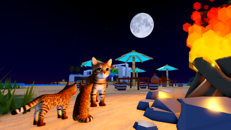 Kitten Game 🐾 - Roblox