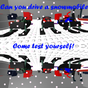 Own A Snowmobile And Race!