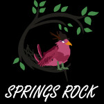 Springs Rock 2018