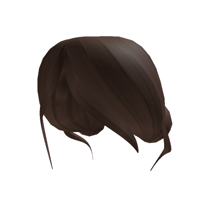Brown Buns Hair | Roblox Item - Rolimon's
