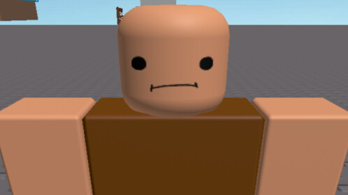 Idiot. - Roblox