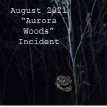 August 2021 "Aurora Woodlands" Incident