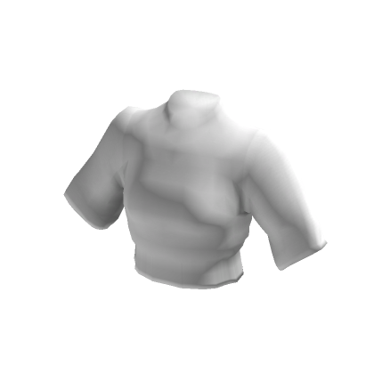 Roblox T-Shirt - White, Roblox Wiki