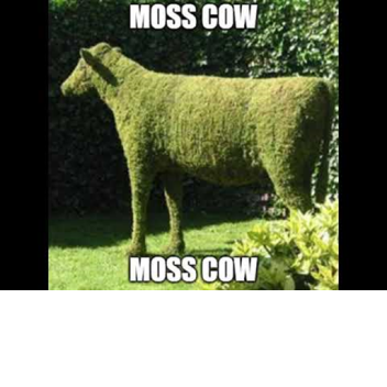 moss cow