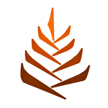 Project - Orange Roots
