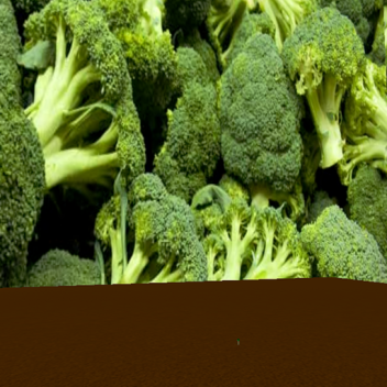 broccoli foresti