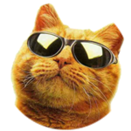 Kot - Roblox