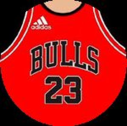 Adidas Bulls 23 T-Shirt - Roblox