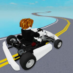 Go Kart Race Simulator